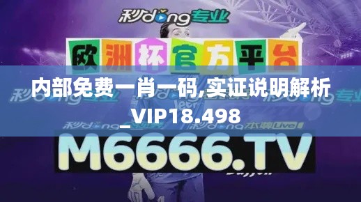 内部免费一肖一码,实证说明解析_VIP18.498