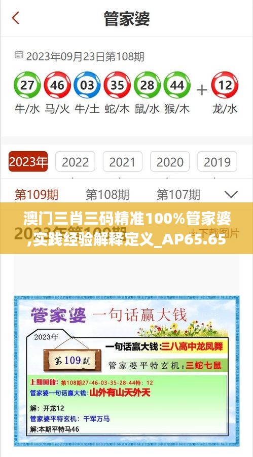 澳门三肖三码精准100%管家婆,实践经验解释定义_AP65.657