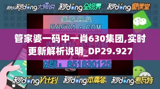 管家婆一码中一肖630集团,实时更新解析说明_DP29.927