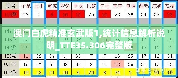 澳门白虎精准玄武版1,统计信息解析说明_TTE35.306完整版