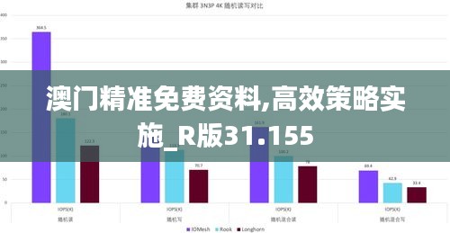 澳门精准免费资料,高效策略实施_R版31.155