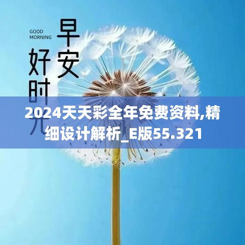 2024天天彩全年免费资料,精细设计解析_E版55.321