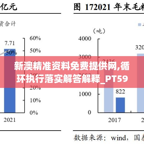 新澳精准资料免费提供网,循环执行落实解答解释_PT59.404