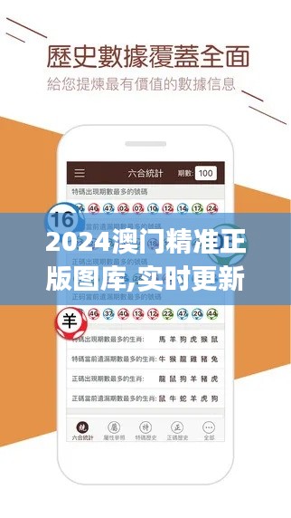 2024澳门精准正版图库,实时更新解释介绍_VDX99.397效率版