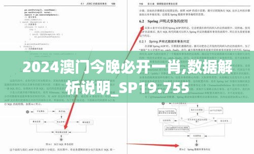 2024澳门今晚必开一肖,数据解析说明_SP19.755