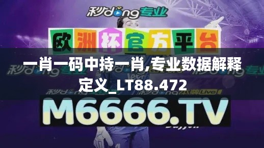 一肖一码中持一肖,专业数据解释定义_LT88.472