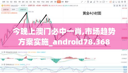 今晚上澳门必中一肖,市场趋势方案实施_android78.368