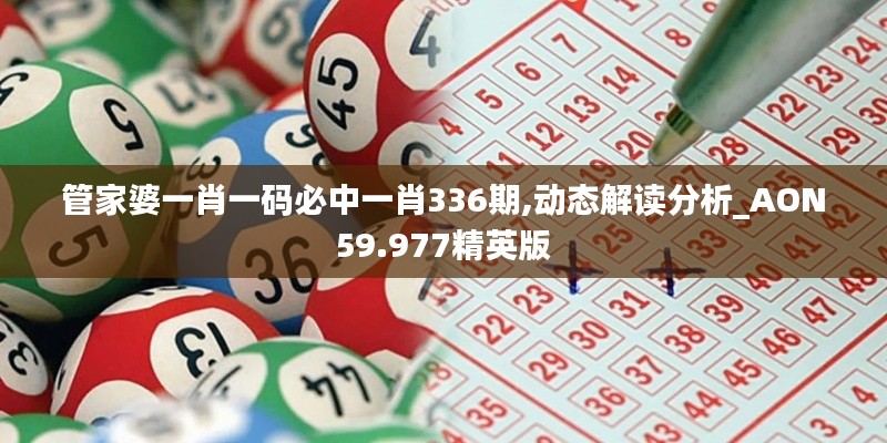 管家婆一肖一码必中一肖336期,动态解读分析_AON59.977精英版