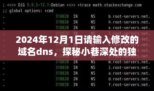 探秘巷弄秘境，特色小店背后的域名故事与DNS修改指南（2024年12月1日更新）