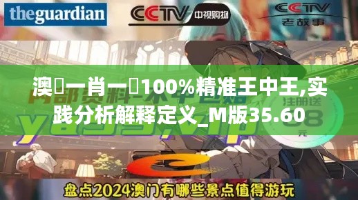 澳門一肖一碼100%精准王中王,实践分析解释定义_M版35.60