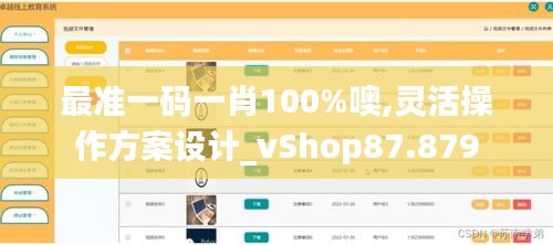 最准一码一肖100%噢,灵活操作方案设计_vShop87.879