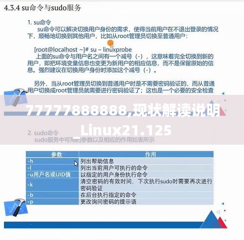 77777888888,现状解读说明_Linux21.125