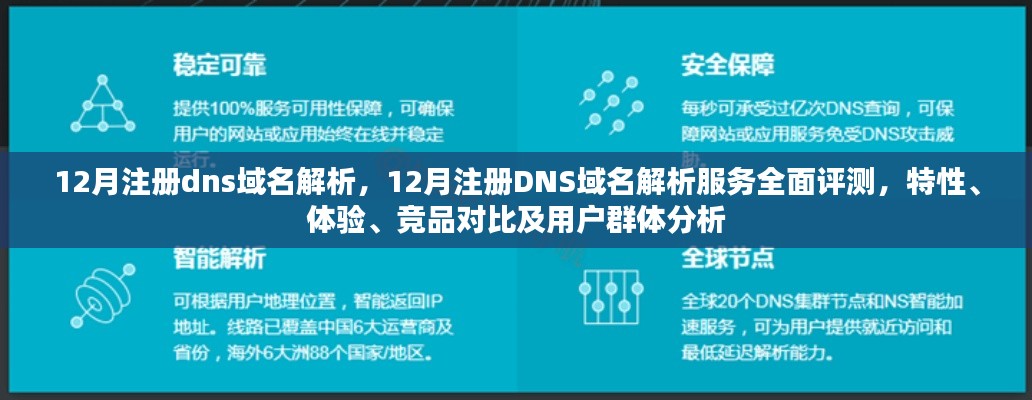 12月DNS域名解析服务全面评测，特性、体验、竞品对比及用户群体深度剖析