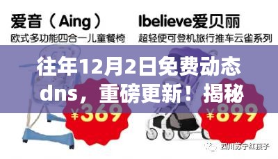 揭秘往年12月2日免费动态DNS更新盛宴，你错过了吗？