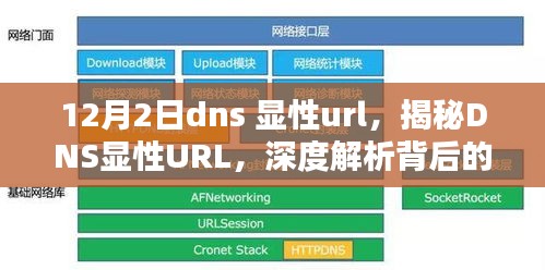 揭秘DNS显性URL技术秘密与实际应用解析