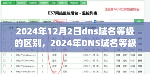 2024年DNS域名等级深度解析，背景、事件、影响与领域地位全面探讨