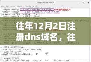 洞悉最佳时机与策略，12月2日注册DNS域名全解析