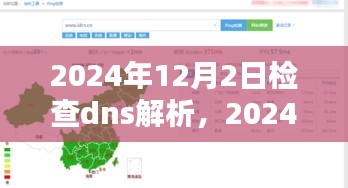 掌握DNS解析技巧，从深度检查到工作原理的全面解析（附检查日期）