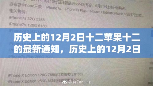 揭秘历史上的苹果十二最新通知，揭秘苹果十二的十二月二日动态