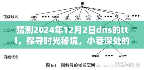 时光秘境探寻，2024年DNS的TTL猜想与小巷特色小店探索