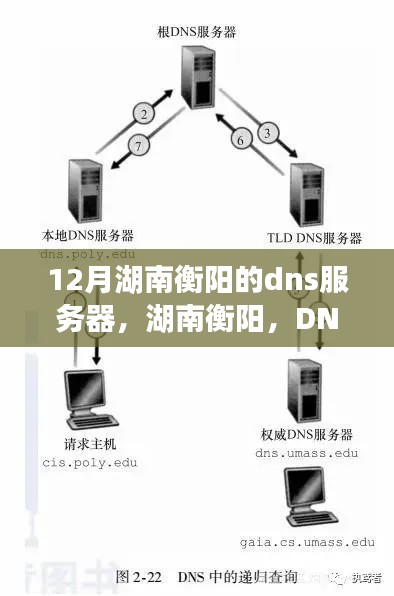 湖南衡阳DNS服务器下的温情日常解析