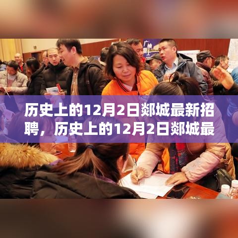 历史上的12月2日郯城最新招聘全景解析及招聘信息速递