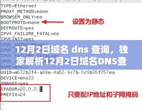 独家解析，轻松掌握网络世界的关键入口——12月2日域名DNS查询全攻略