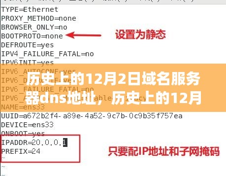 2024年12月4日 第8页