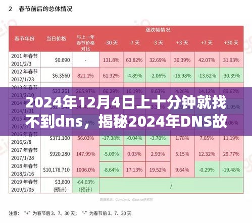 揭秘，2024年DNS故障背后的真相与解决方案——十分钟内的解析困境解析及小红书社区助力修复