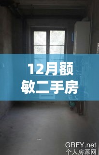 探秘额敏小巷深处的二手房特色小店，最新房源速递与深度解析（12月更新）