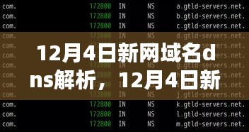 12月4日新网域名DNS解析设置详解，初学者与进阶用户的操作指南