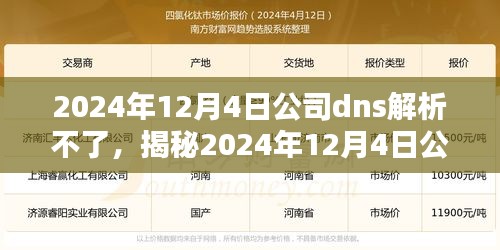 揭秘，公司DNS解析故障的原因、解决方案与预防策略（针对2024年12月4日事件）