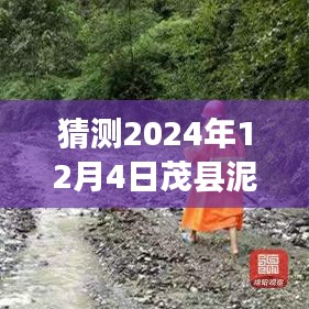 茂县泥石流最新进展预测分析报告（深度评测，2024年12月版）