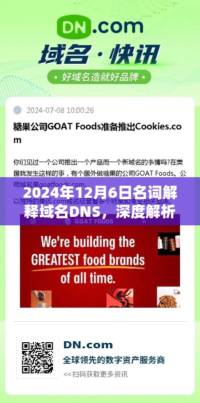 域名DNS深度解析，重新定义与体验在2024年的应用之道。