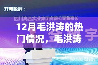 毛洪涛十二月热议现象深度解析，舆论焦点下的真相探究与热门情况分析