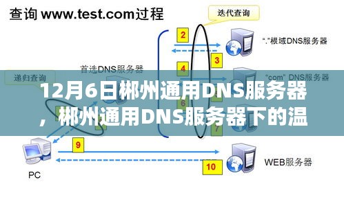 12月6日郴州通用DNS服务器，郴州通用DNS服务器下的温馨日常，数字世界里的友情与陪伴