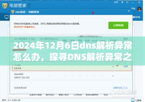 探寻DNS解析异常之谜，解决网络迷途，应对2024年12月6日DNS解析异常