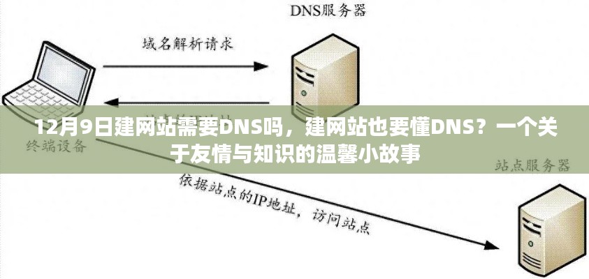 建网站必备知识，DNS的重要性与友情背后的温馨故事