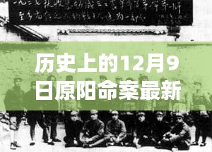 历史上的12月9日原阳命案最新进展分析揭秘