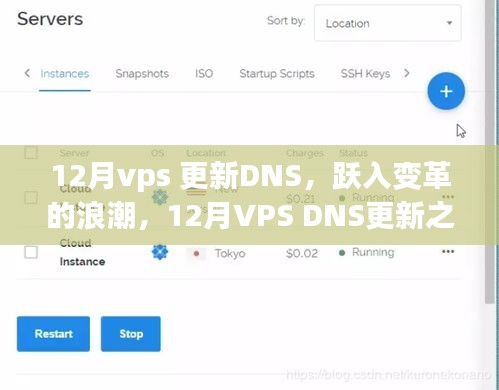 12月VPS DNS更新之旅，探索学习之路，跃升变革浪潮中的自信与成就感