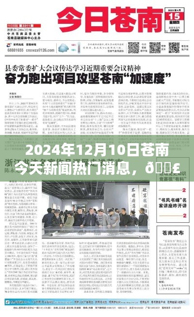 2024年12月10日苍南最新热门新闻播报与今日焦点一览