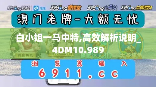 白小姐一马中特,高效解析说明_4DM10.989