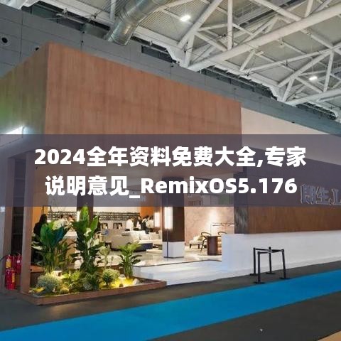 2024全年资料免费大全,专家说明意见_RemixOS5.176