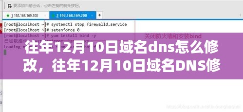 往年12月10日域名DNS修改详解，操作指南、特性体验、竞品对比及用户群体洞察