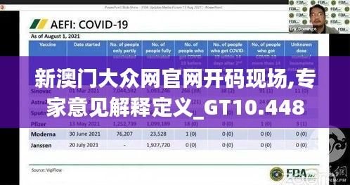 新澳门大众网官网开码现场,专家意见解释定义_GT10.448