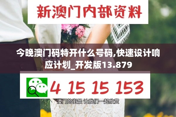 今晚澳门码特开什么号码,快速设计响应计划_开发版13.879