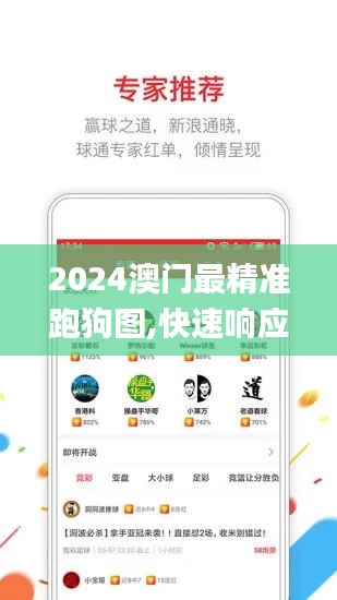 2024澳门最精准跑狗图,快速响应方案_AP2.878