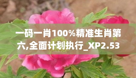 一码一肖100%精准生肖第六,全面计划执行_XP2.530