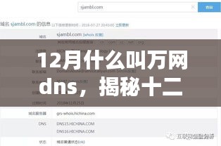 揭秘万网DNS，定义、重要性及十二月特点分析