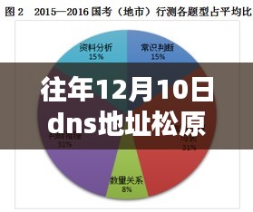 松原DNS革命性科技产品揭秘，重塑网络体验，开启智能生活新纪元